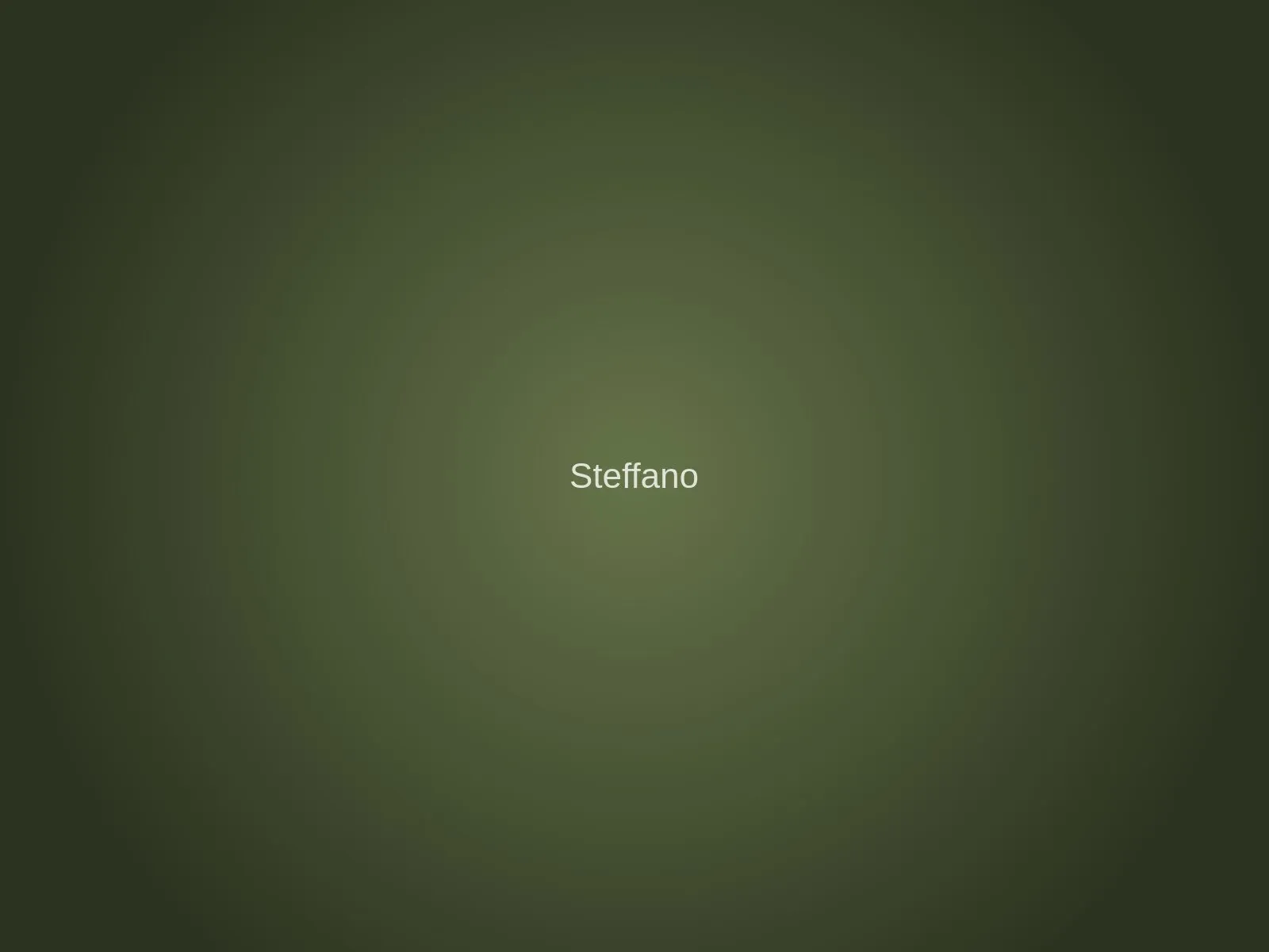 Handgemaakt houtwerk van Steffano